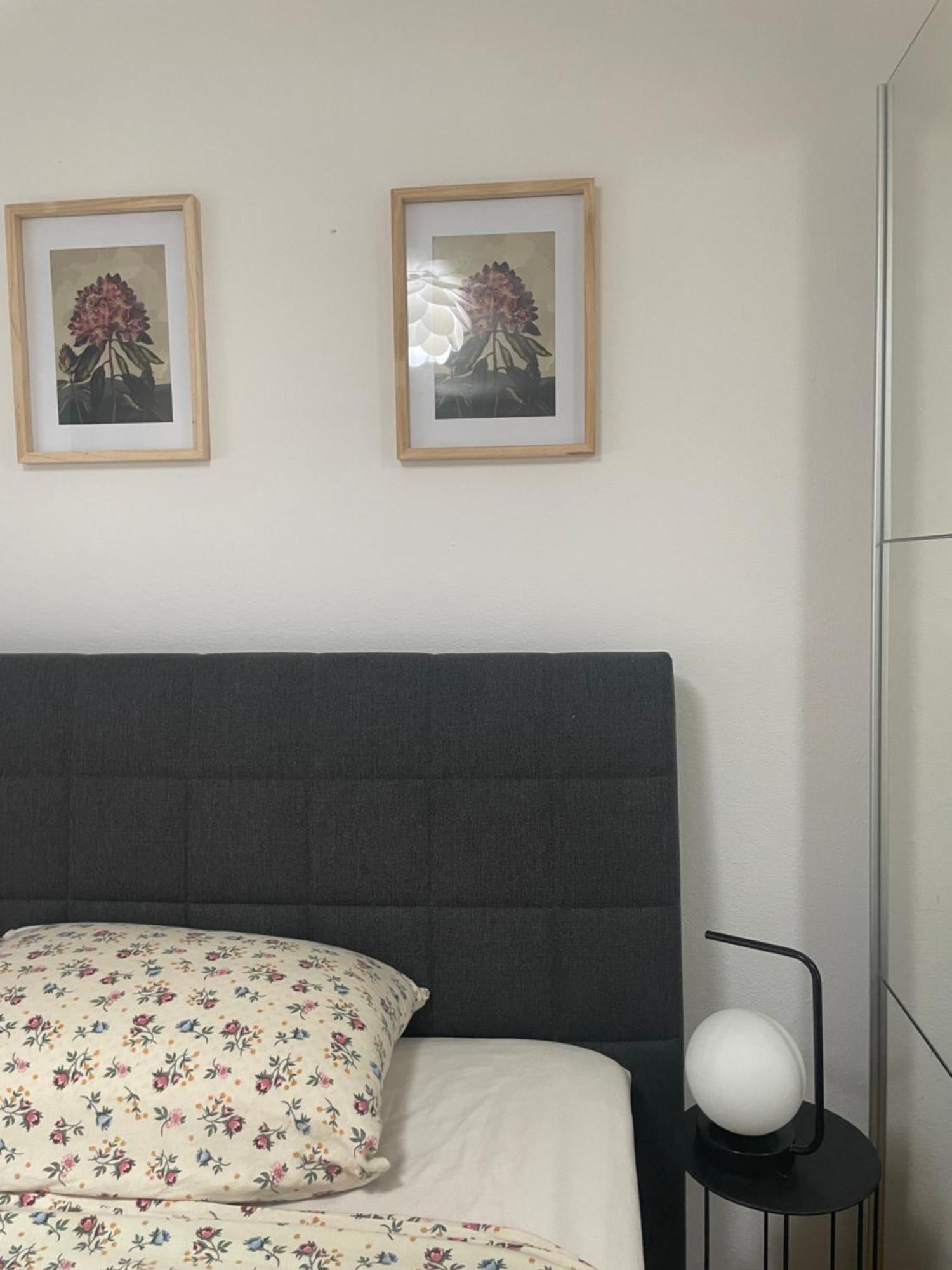 קאלי Apartman S M4 With The View מראה חיצוני תמונה